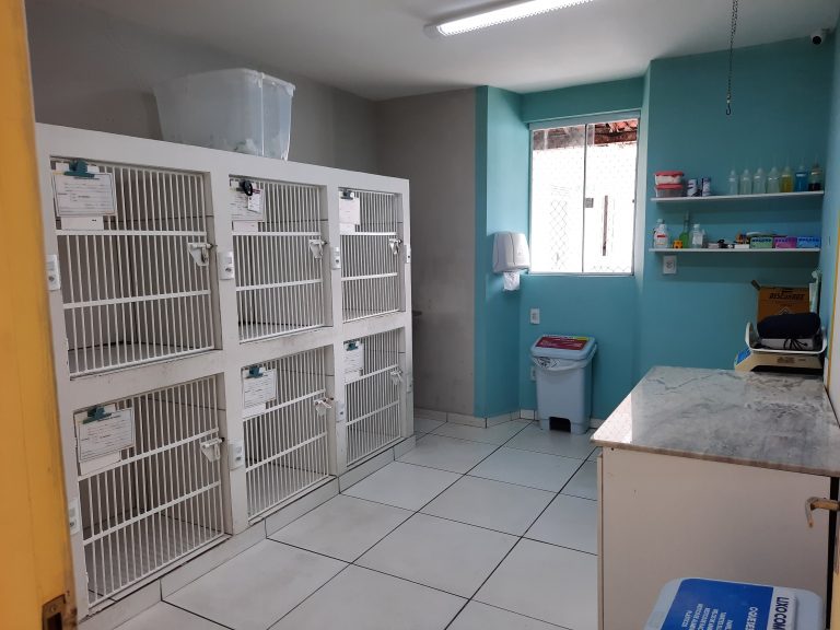 Internamento para Cães e Gatos separados